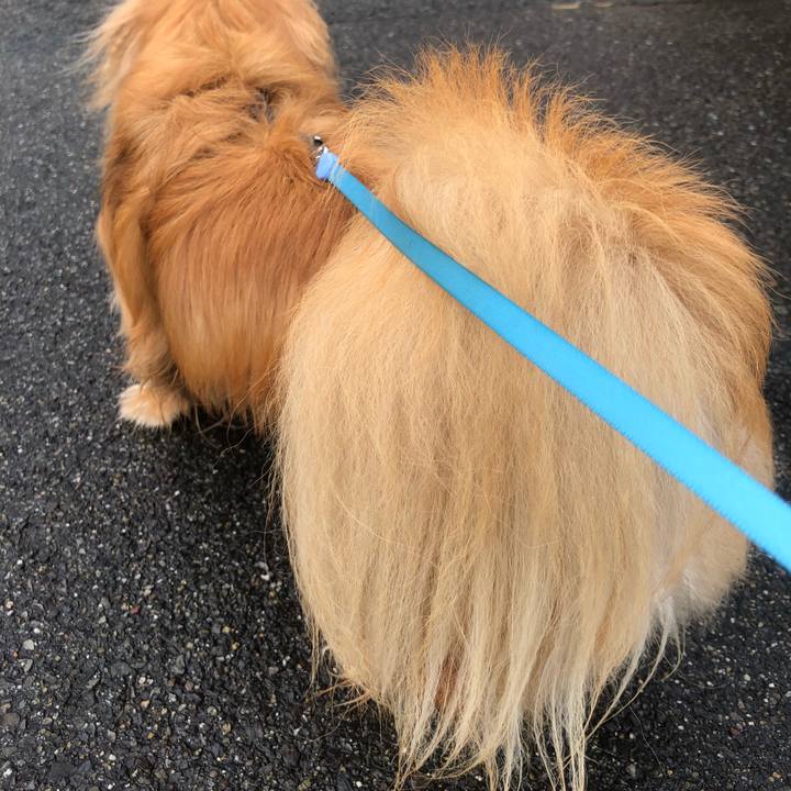 71dc33b9 103a 4596 bfa8 1c33f9f02b4c 1534288419067