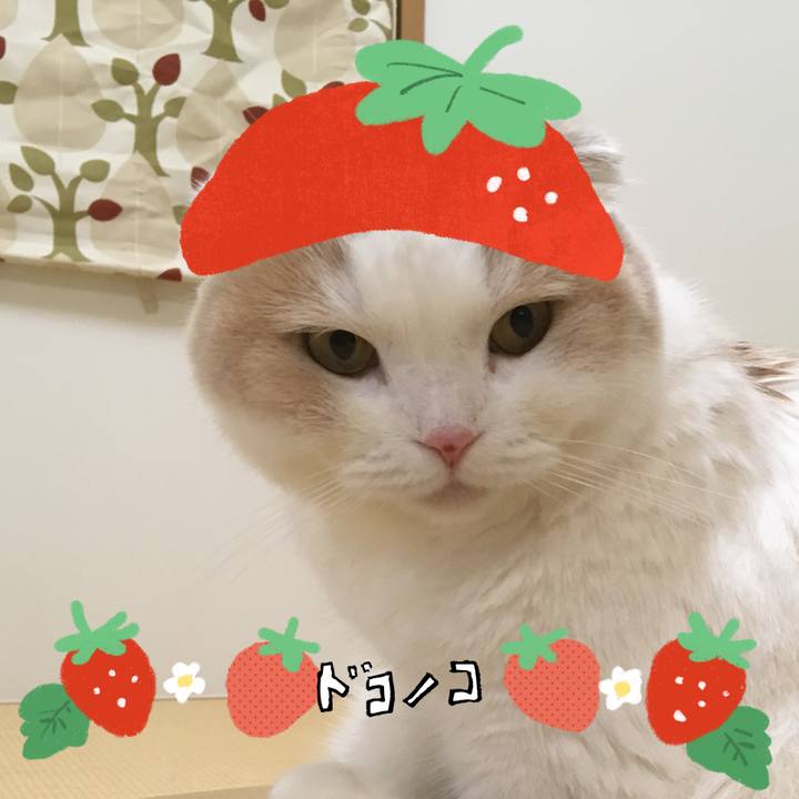 71dc42cd 94eb 490a b2f9 eb64f98356f9 1775275486396