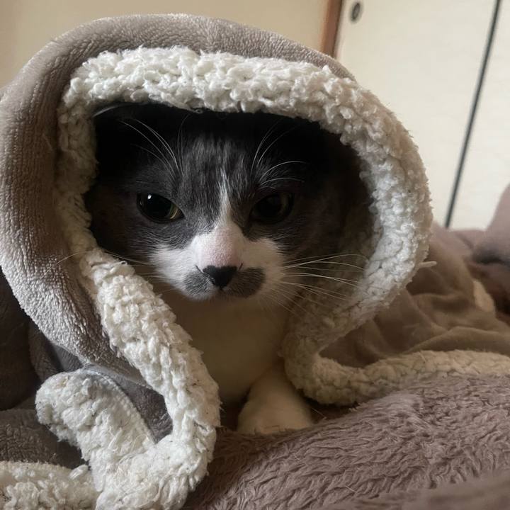 71dc87ac b18c 4b14 8da4 28d3345815bb 1740261853951