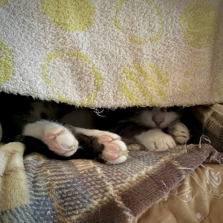 71dcaeb3 2736 49b1 a63c 7feede963344 1762500151399