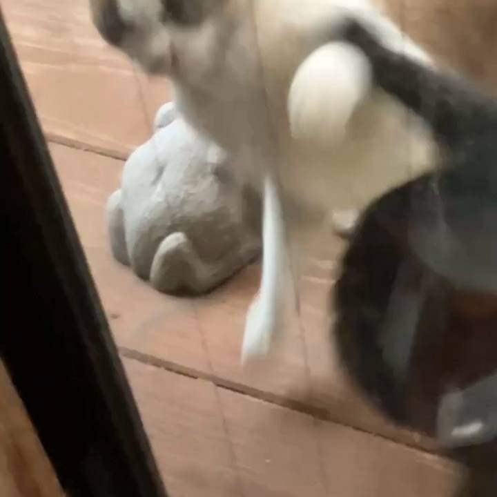 71dcbf9c e183 40cf 9e2c de77a2f3c372 1737028958684