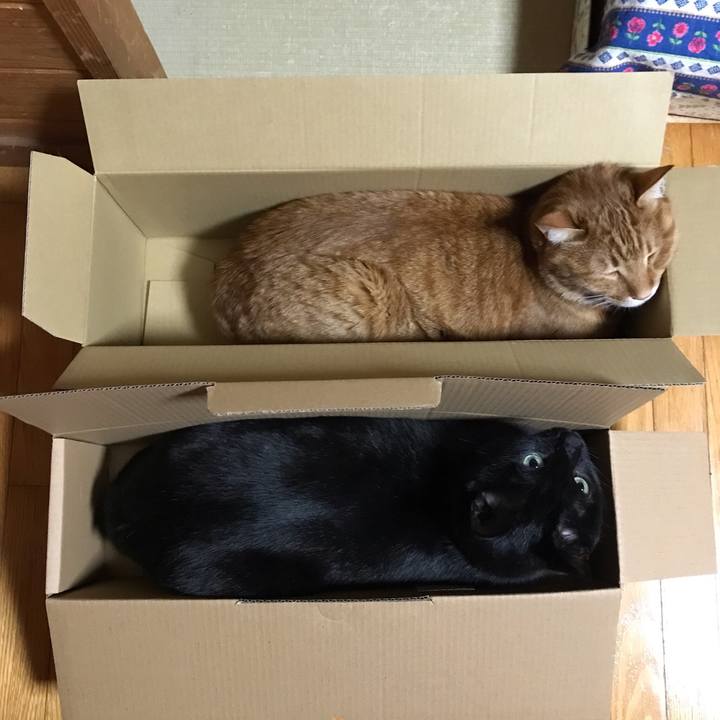 71dceab5 c7ca 492f 834a 1eba4a616f88 1554214936057