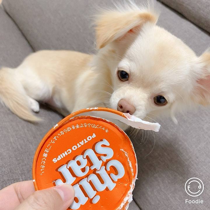 71dd1d3c c594 4e58 b194 2ba7699f656a 1607388763318