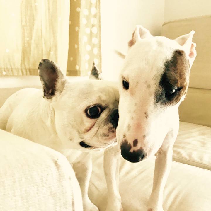 71dd26f5 e738 4cf7 9e14 b1e462d2c363 1508376207833