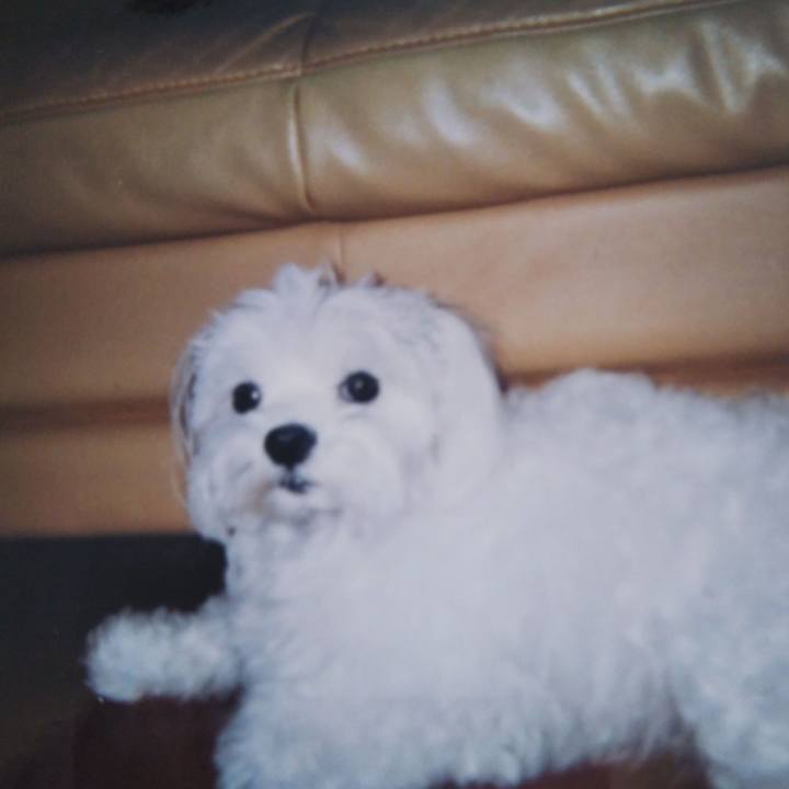 71dd3480 1ccd 4760 94f6 292733f627e4 1542673593969