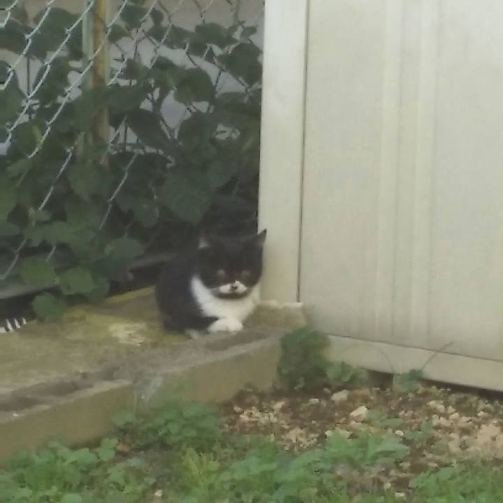 71dd3fa1 753a 4061 a317 2f49159005cb 1541656620528