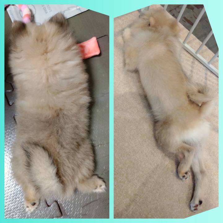 71dd74ca 3552 4b28 a8c9 c48abfcc181d 1726807201684