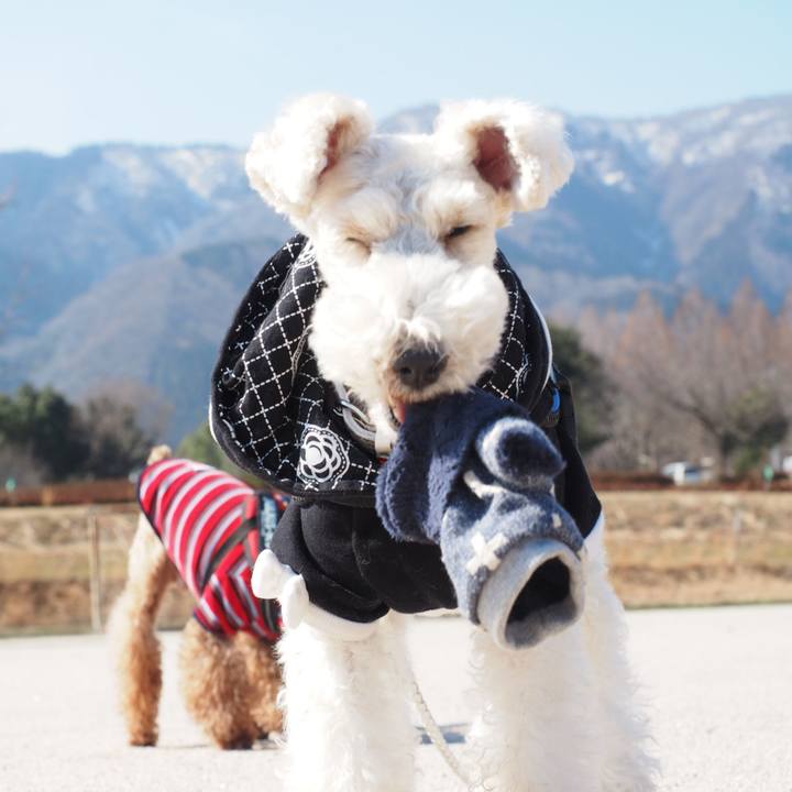 71dd9bfc c92b 47f2 8749 891094de89e6 1551929099133