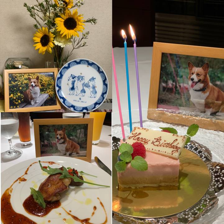 71dda476 c974 4df5 a0a4 0faa6e8db883 1569729500747