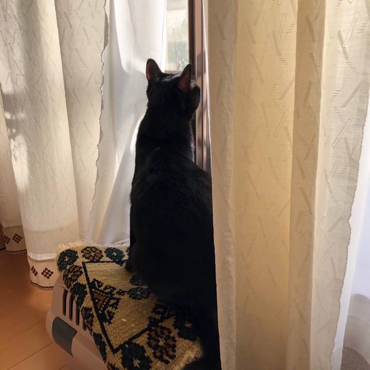 71ddbd71 c3e4 404b acff 6cd12692ab87 1558135405482