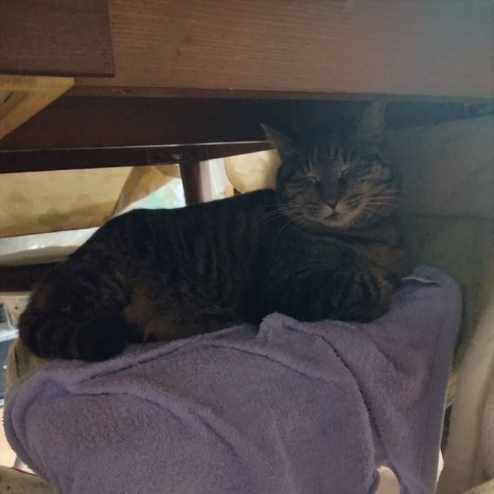 71ddcd91 6e55 4e02 a143 22acd5dea046 1773638286715