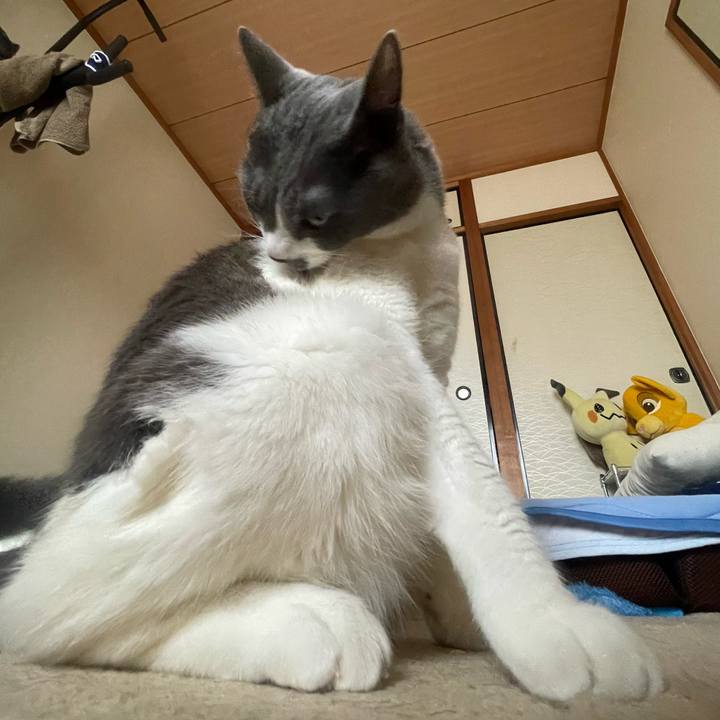 71dddeef 0967 4040 bb6d 849064294589 1720561347063