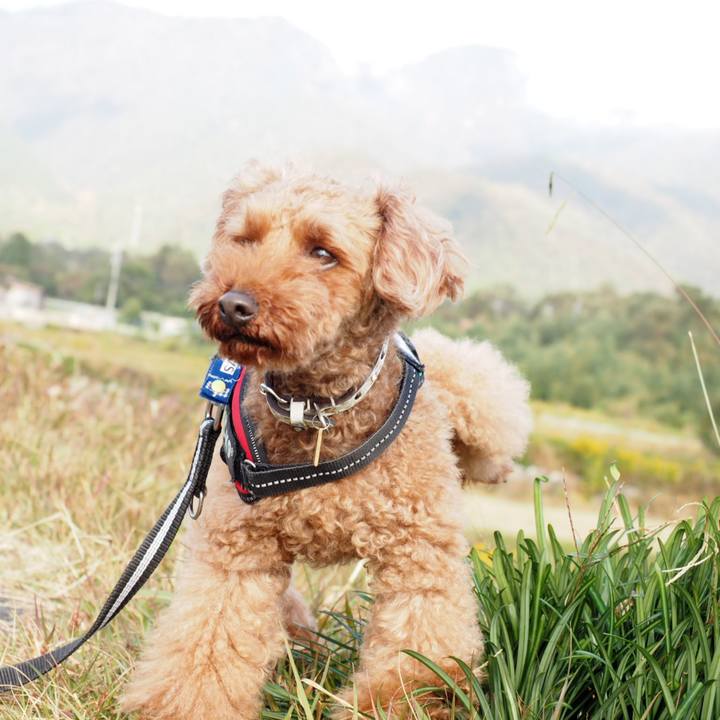 71ddfbf7 f476 4df1 9f4e 709b056eb80d 1541214370318