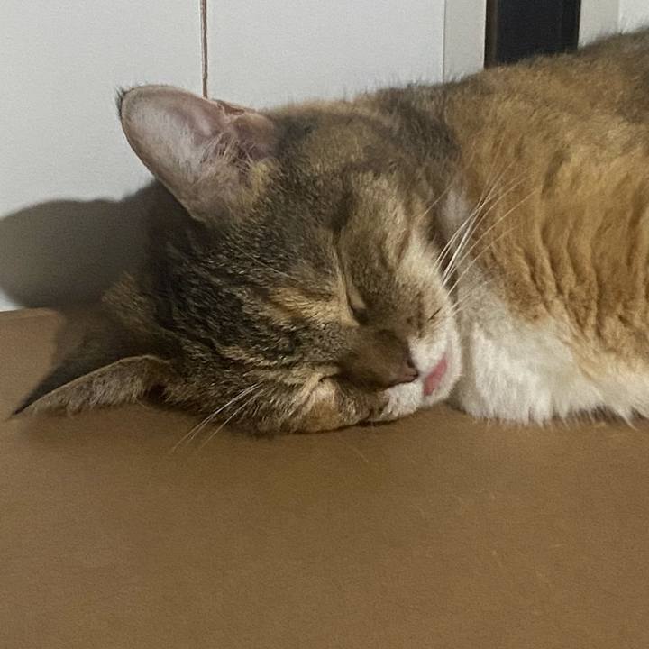 71de18ee 6ded 4509 a3a9 72bdf11c5331 1723455998185