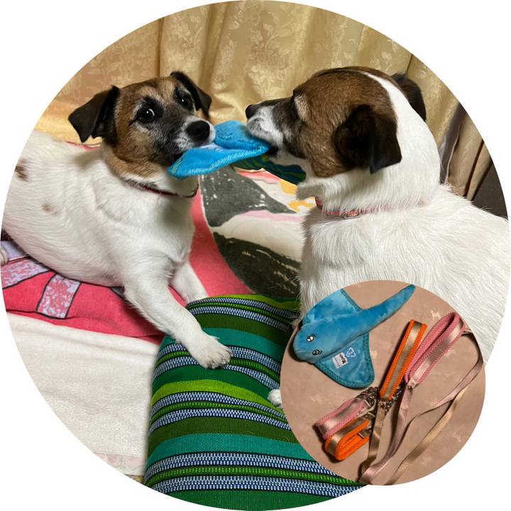 71de2f77 fa29 45e7 9376 c74b0a27aeaa 1671968137767