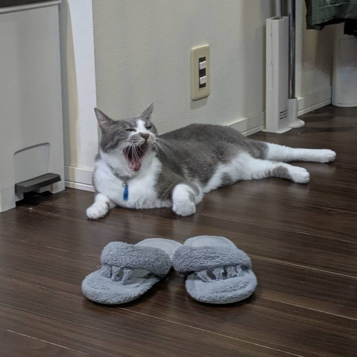 71de9081 de7b 4fa4 9ed9 fab08f1cf813 1758109261925