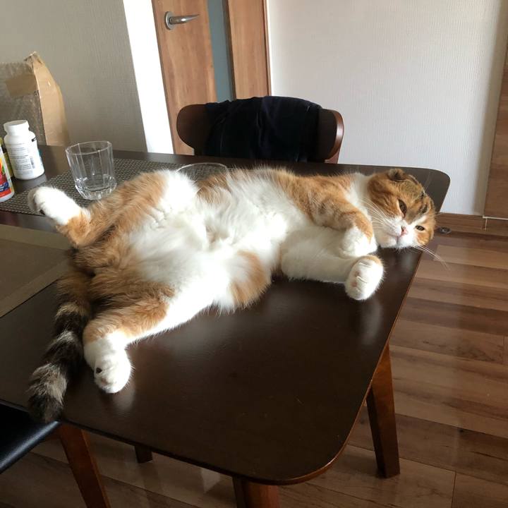 71dea47b b320 40e7 8ee1 56486bcdf112 1564792774933