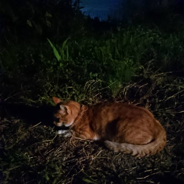 71debe31 fbae 4106 8719 c218bd6fca74 1568284012076