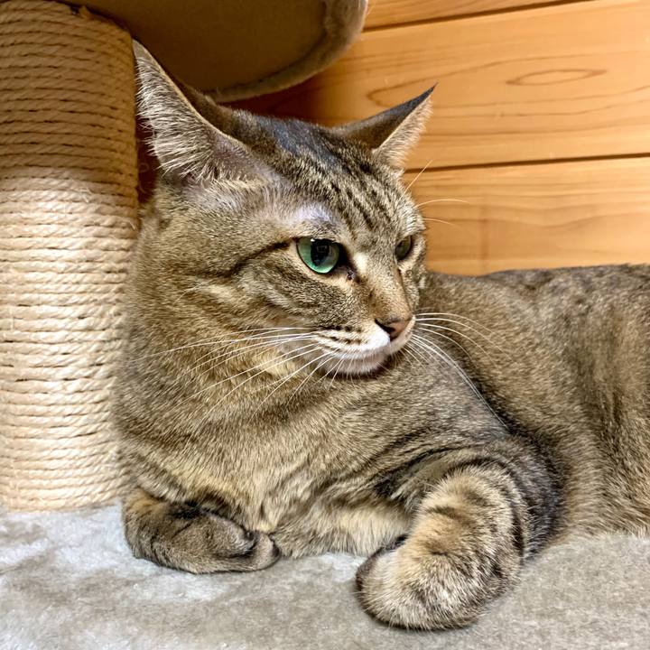 71deccd8 007a 43ec 9b65 4ed157e14cbc 1580823812110