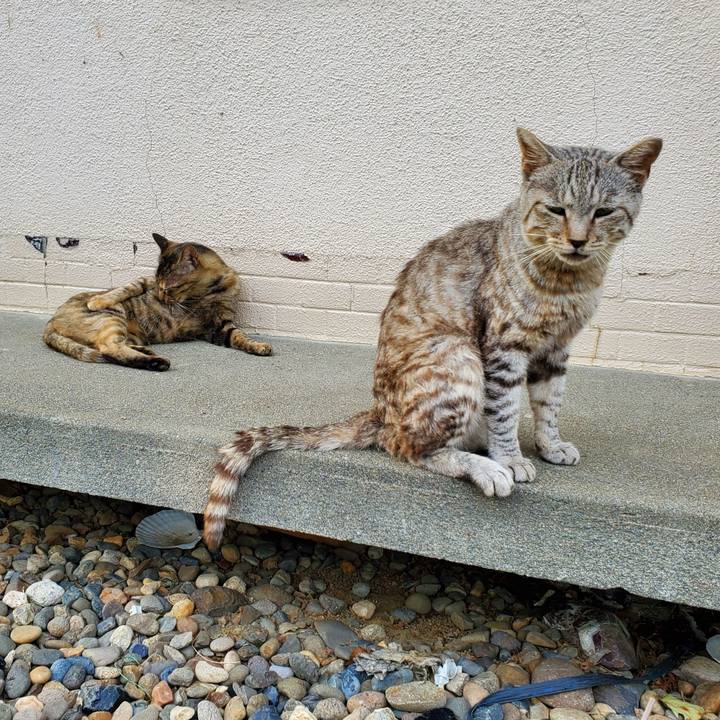 71defee4 c30a 4bfc b68d 9f22d9a9b2df 1694264145843