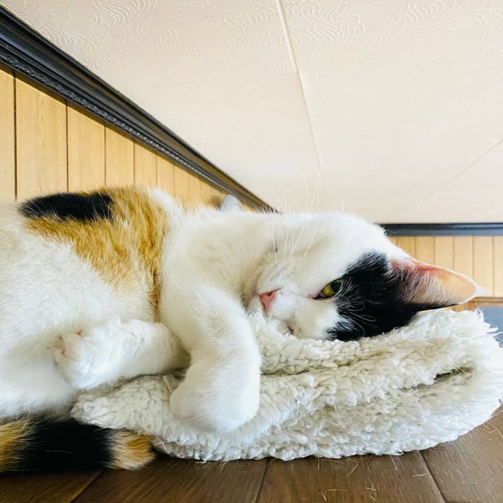 71df1269 db3b 4b60 a689 09d6018a1b74 1684499348122