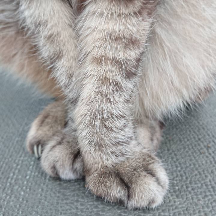 71df58f0 5402 4d70 a26a 0085b520fda8 1568583400046