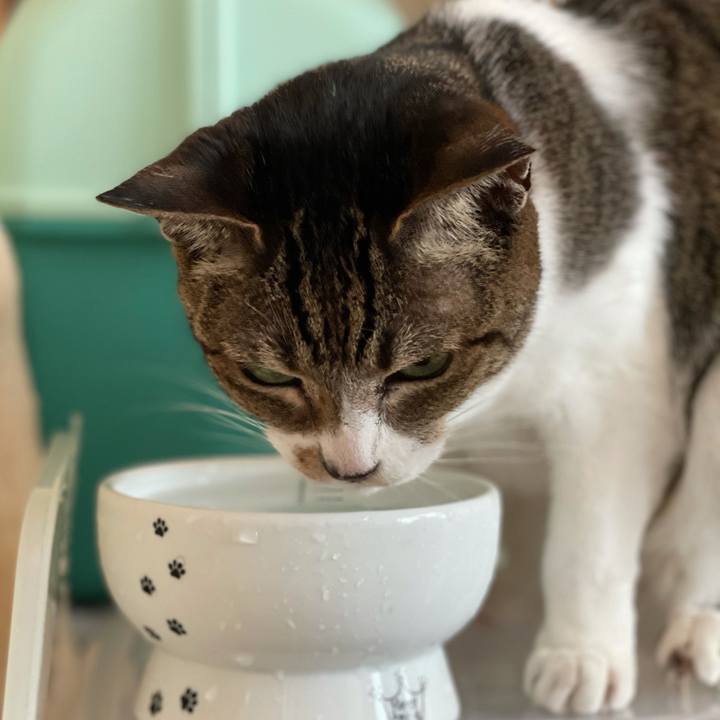 71df5c04 5647 4ca8 8b3e 52efe7a56668 1620956422154