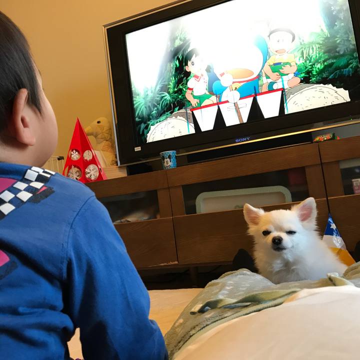 71dfafc7 a6eb 4c6d 9a7b bf12da9d5d26 1512197724581