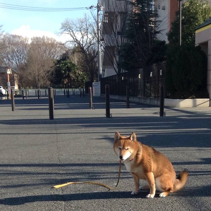 71dfb01b 4a92 4202 991e e73b8cdf078a 1518505776445