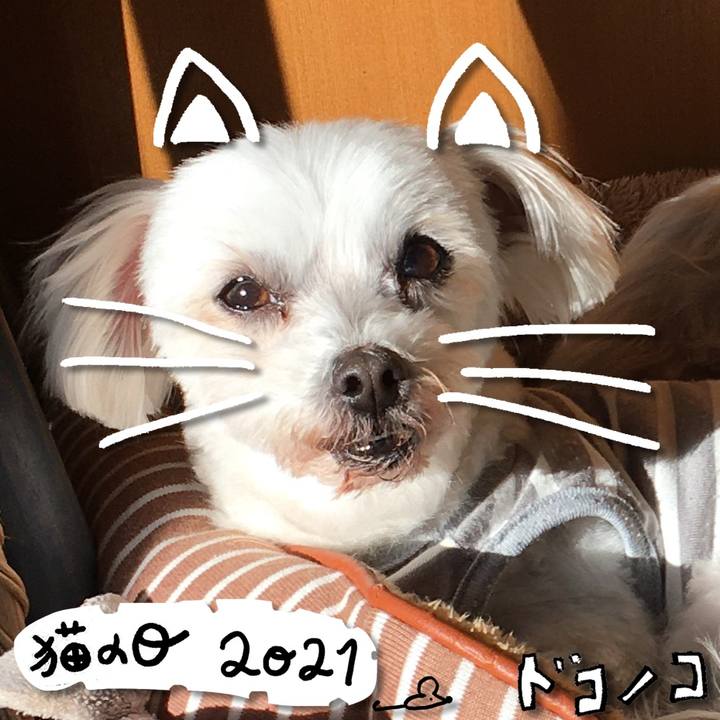 71dfdccc d7e8 4b88 919a 2d6a0712efe2 1613976091724