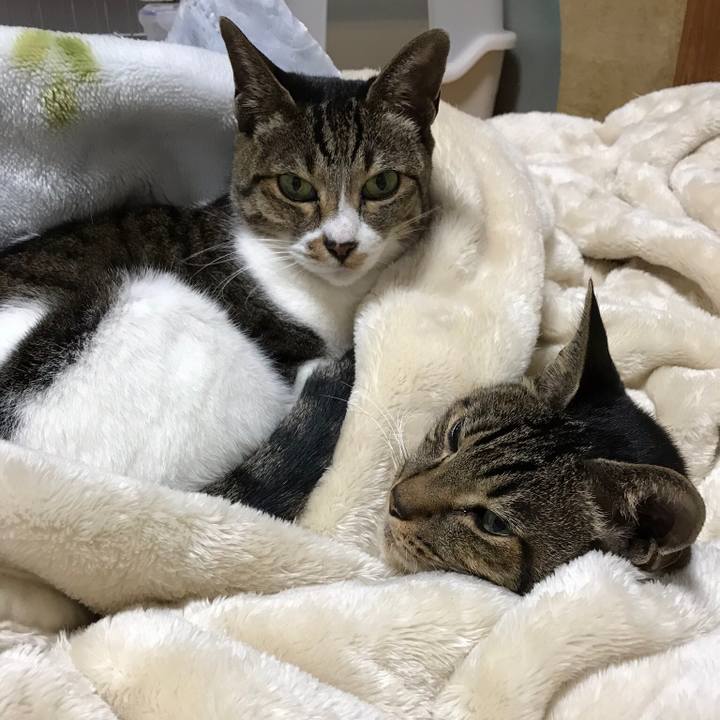 71dffa55 ad37 45be 810b 74d508731b3d 1514165429509