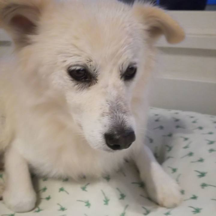 71e00d71 67f4 43a8 abed 7e1c0adf8982 1508660507512