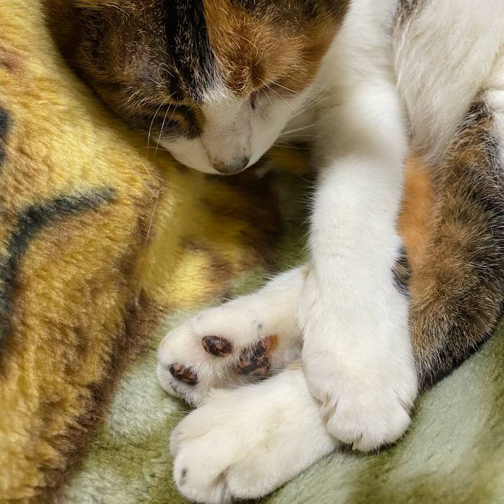 71e0171a 2bbe 4820 b5a3 610df956afd9 1606348856526