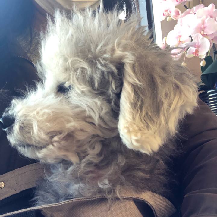 71e043e3 d691 4a49 9ba2 b213daba38b3 1609211724423