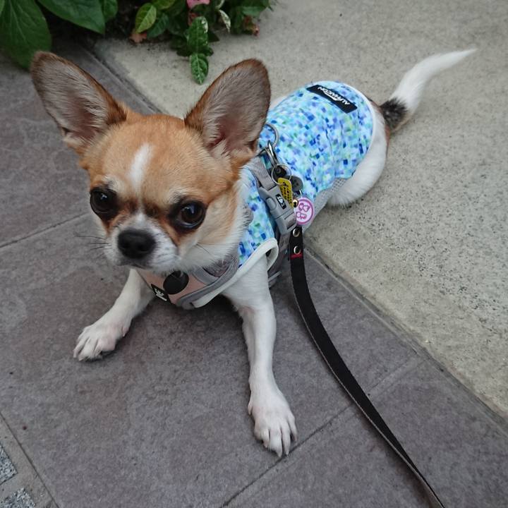 71e04cca f0a7 4cac 82a1 009ce672662e 1559719161107