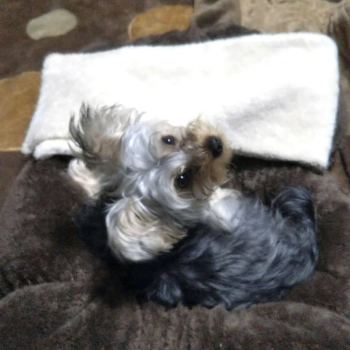 71e05ede c4e4 47fe 9624 495070d2c308 1542464116848