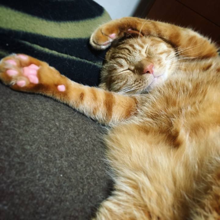 71e07032 31a9 40af af88 d9cdf4eb3e83 1609055467487