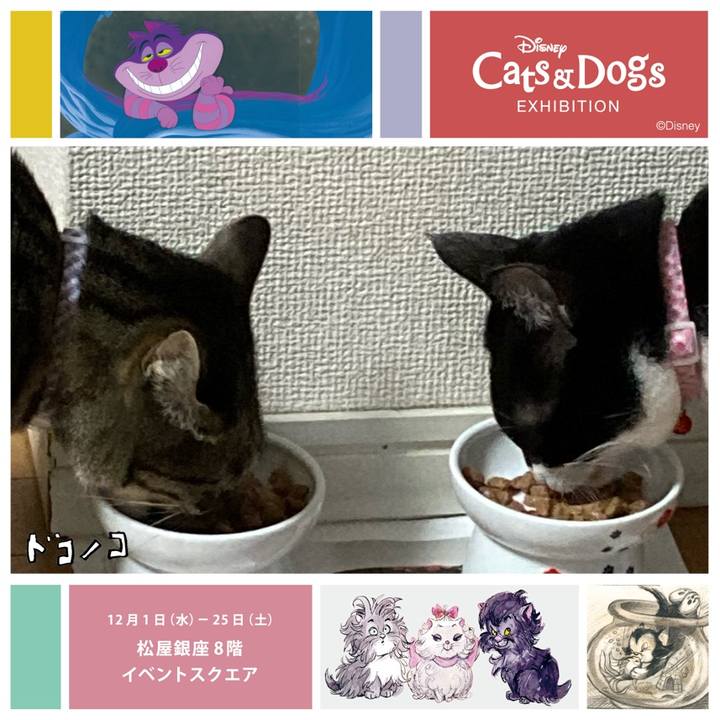 71e0dcc8 aa30 46d9 b68a 8ce93f44de1e 1638353324629