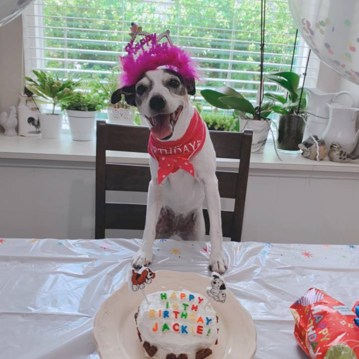 71e0dd1c 6382 4ad0 8fb5 2a325e244cd9 1597961050050