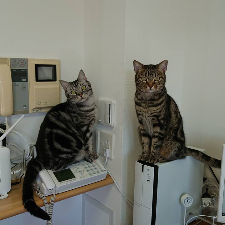 71e0e801 0007 4d42 9016 5b251fb32b19 1552021949001