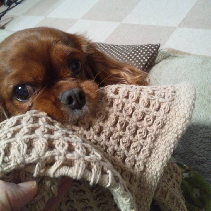 71e0f7d1 1fc3 4861 9072 7fab40bee395 1563102433504