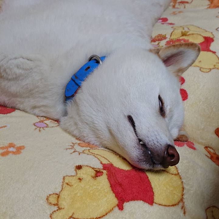 71e10c28 33ea 413c 9ffe d5ac43c39811 1578055400388