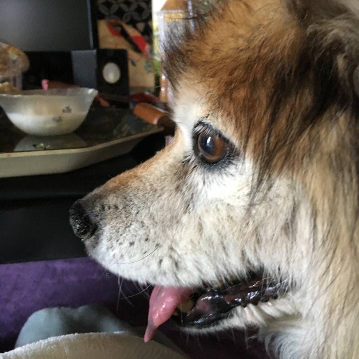 71e11340 7ff3 4ee1 8ff3 e0e49194c1e6 1569164064495