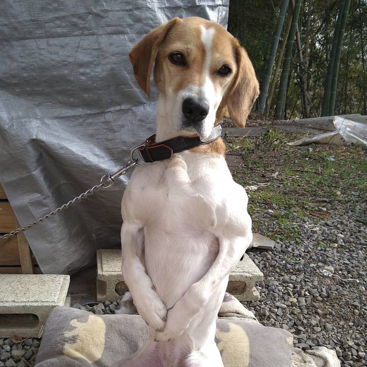 71e11789 62b8 4b23 91ba 483abfc823fd 1646375635106