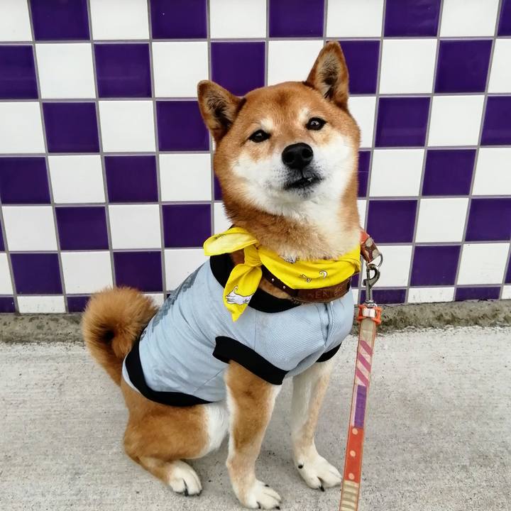 71e12958 c5b3 4815 869f e4ff56cf6700 1617708280112