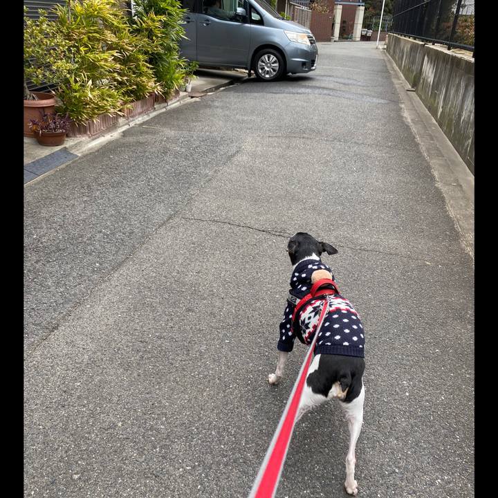 71e1730e eb68 49b6 8e33 45f013f827b6 1582337800276