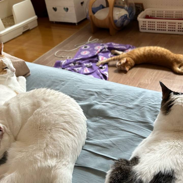 71e18fd2 3345 4fcd b59b 8f7922218acf 1684533641942