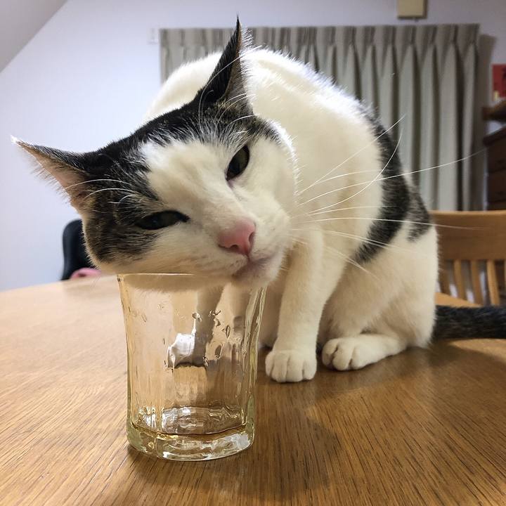 71e1d3fb 65d8 4aa1 ac64 47d90bf65cd6 1644579766857