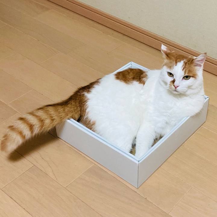 71e1e1f8 bead 485d b9b1 730065a6aab8 1626611127424