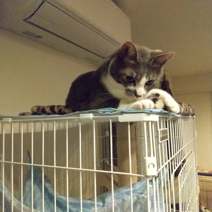 71e1e43a 0686 4eb4 885d da1170a67329 1618404176639